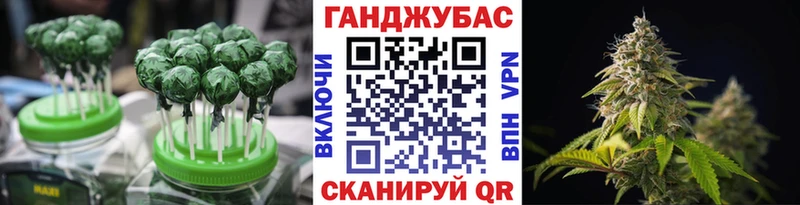 Cannafood конопля  Купить закладки  Злынка 
