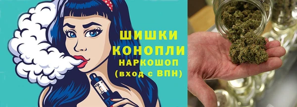 мдпв Вяземский