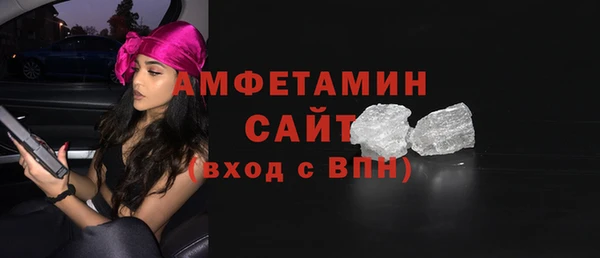 мдпв Вяземский