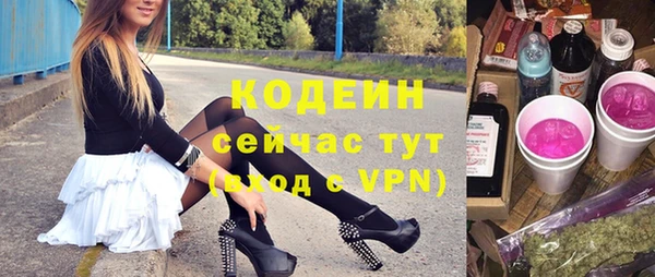 мдпв Вяземский