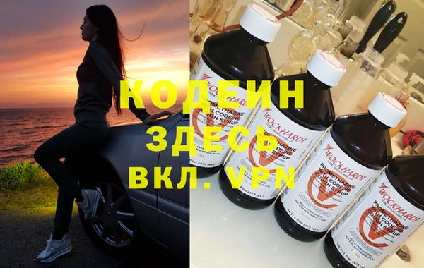 мдпв Вяземский