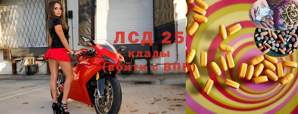 мдпв Вяземский