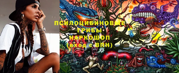 мдпв Вяземский