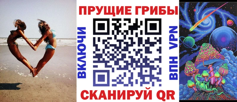 Псилоцибиновые грибы прущие грибы  Купить закладки  Злынка 